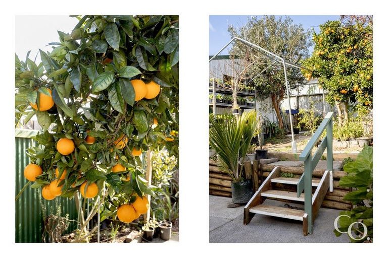 Photo of property in 54 Jonathon Street, Brookfield, Tauranga, 3110