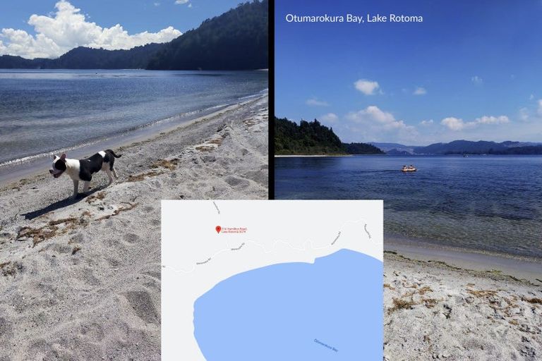 Photo of property in 21a Hamilton Road, Lake Rotoma, Rotorua, 3074