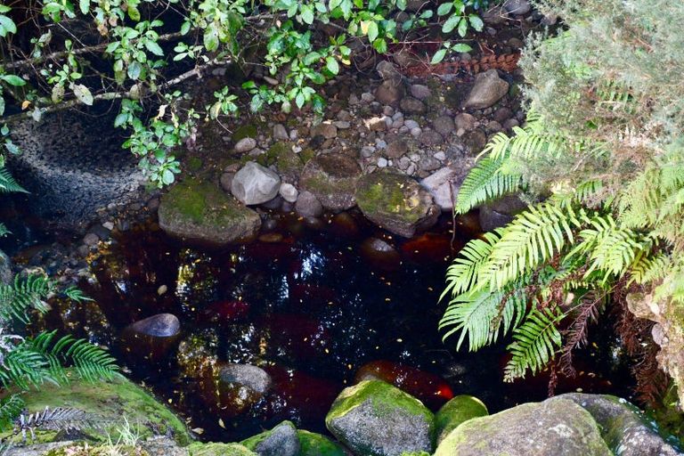 Photo of property in 37 South Terrace Road, Karamea, 7893