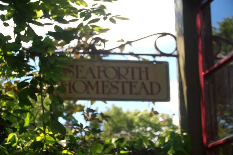 Photo of property in Seaforth Homestead, 246 Seadown Road, Seadown, Timaru, 7973