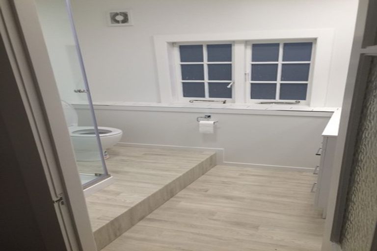 Photo of property in 7 Vine Street, Saint Marys Bay, Auckland, 1011