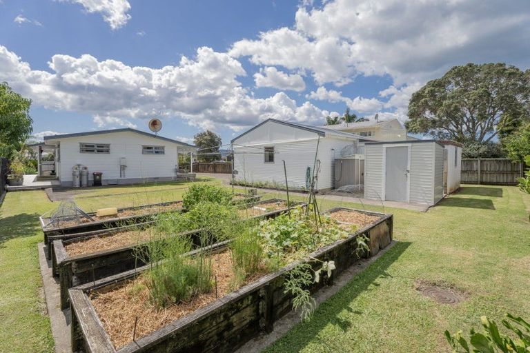 Photo of property in 98 Catherine Crescent, Whitianga, 3510