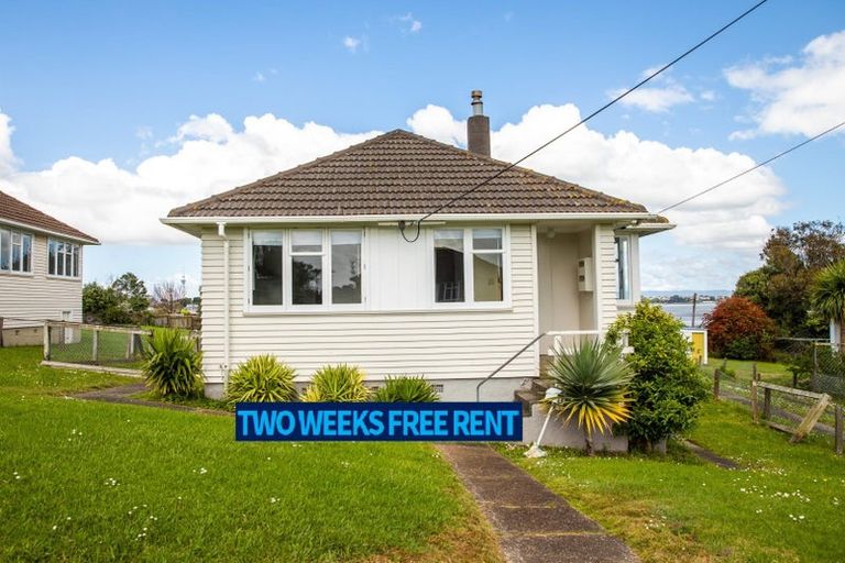 Photo of property in 49 Hillary Crescent, Belmont, Auckland, 0622