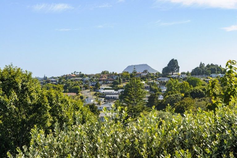 Photo of property in 28 Upland Street, Brookfield, Tauranga, 3110