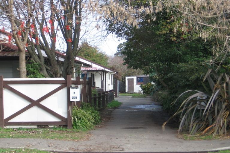 Photo of property in 205a Mayfair Avenue, Mayfair, Hastings, 4122