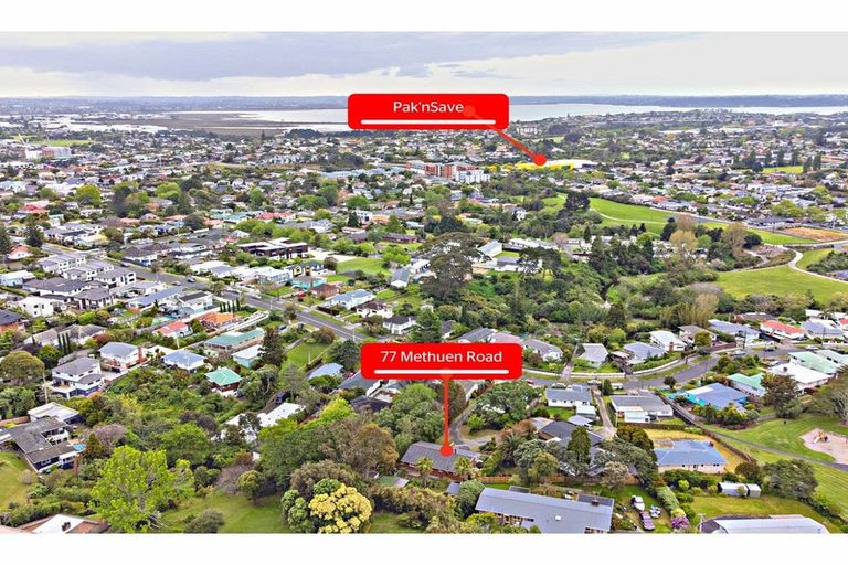 Photo of property in 77 Methuen Road, New Windsor, Auckland, 0600