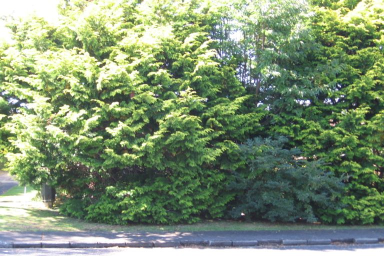 Photo of property in 23 Durham Street, Te Atatu Peninsula, Auckland, 0610