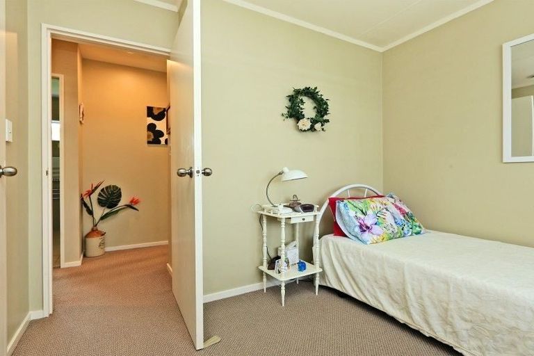 Photo of property in 302 Leo Street, Akina, Hastings, 4122