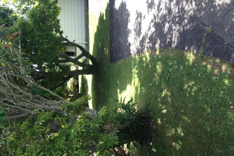 Photo of property in 9 Kimberley Road, Waihi, 3610