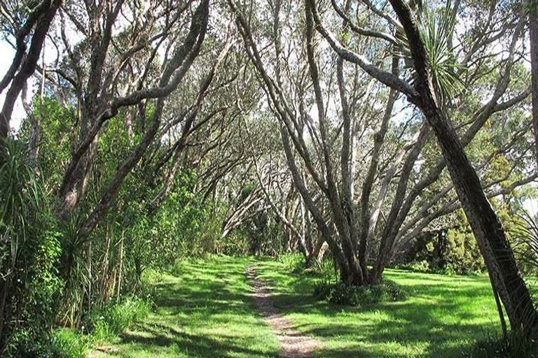 Photo of property in 180 Beach Road, Campbells Bay, Auckland, 0630