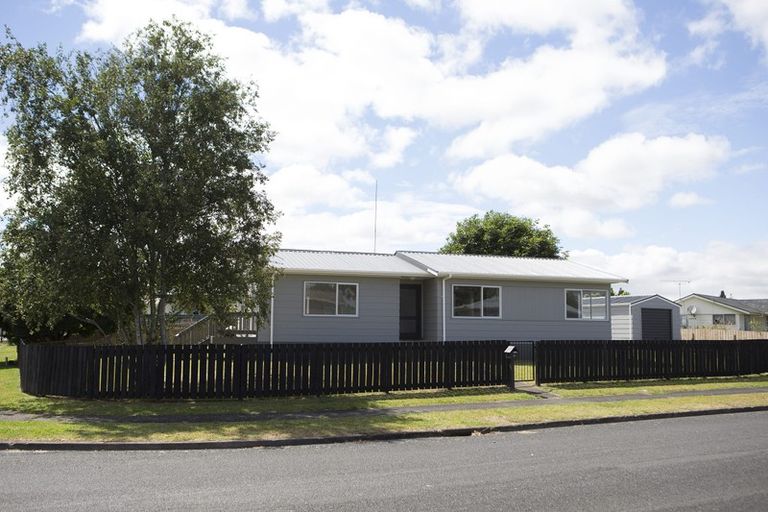 Photo of property in 161 Pollard Drive, Te Awamutu, 3800