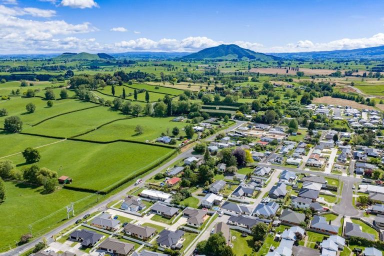 Photo of property in 7 Mcandrew Street, Kihikihi, Te Awamutu, 3800