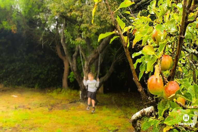 Photo of property in 242 Pine Hill Road, Dalmore, Dunedin, 9010