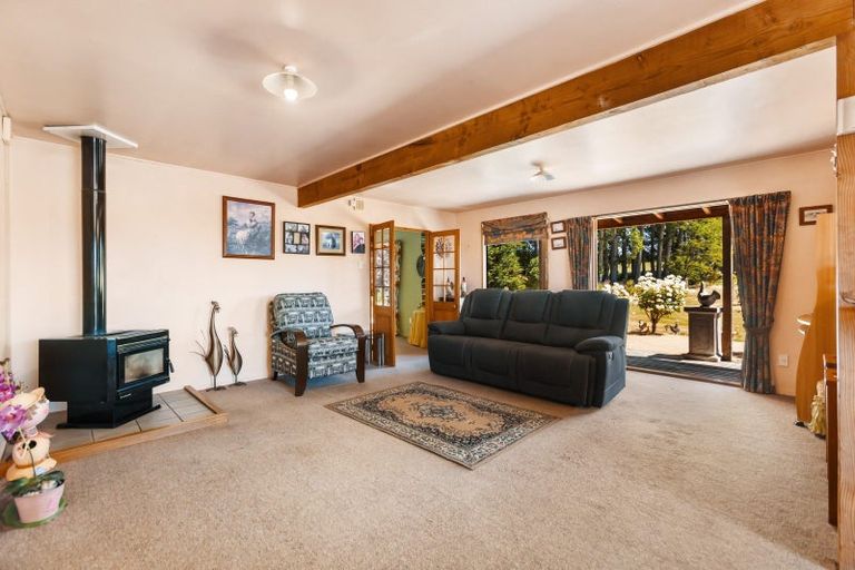 Photo of property in 479 Manuherikia Road, Springvale, Alexandra, 9393