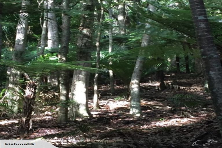 Photo of property in 16 Waikarekare Lane, Karekare, Auckland, 0772