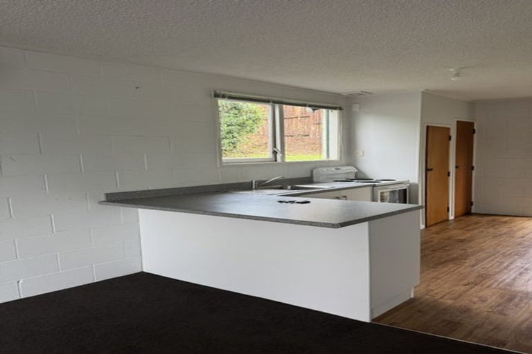 Photo of property in 105 Lake Crescent, Hamilton Lake, Hamilton, 3204