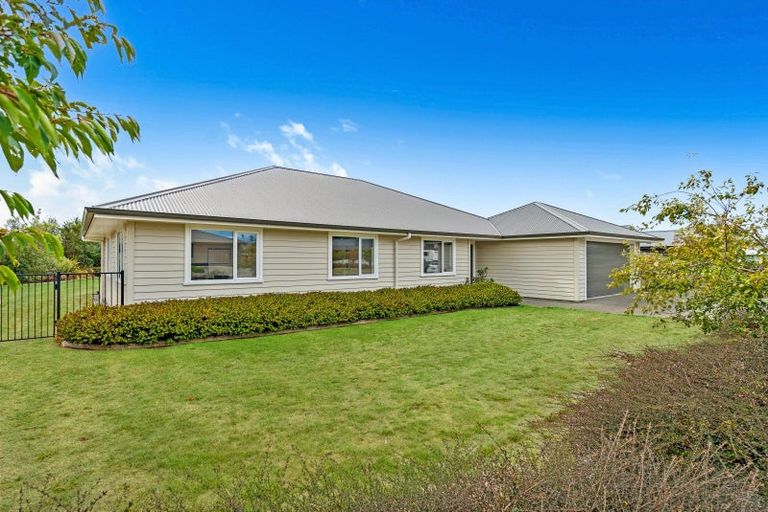 Photo of property in 49 Gimson Street, Solway, Masterton, 5810