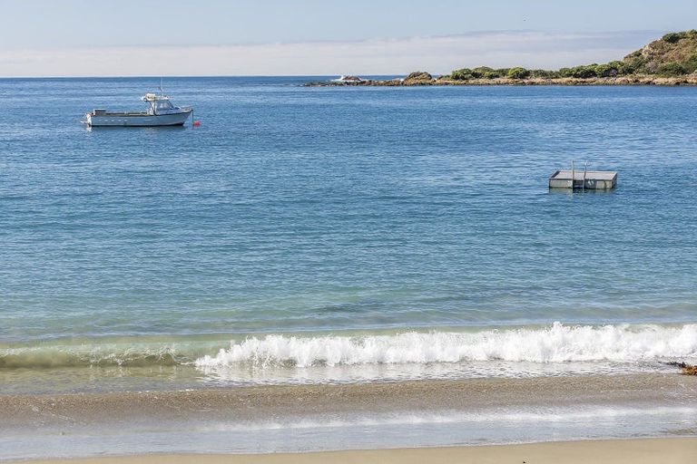 Photo of property in 156 Derwent Street, Island Bay, Wellington, 6023