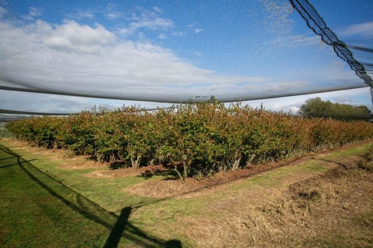 Photo of property in 1/3200 Cambridge Road, Rotoorangi, Cambridge, 3495