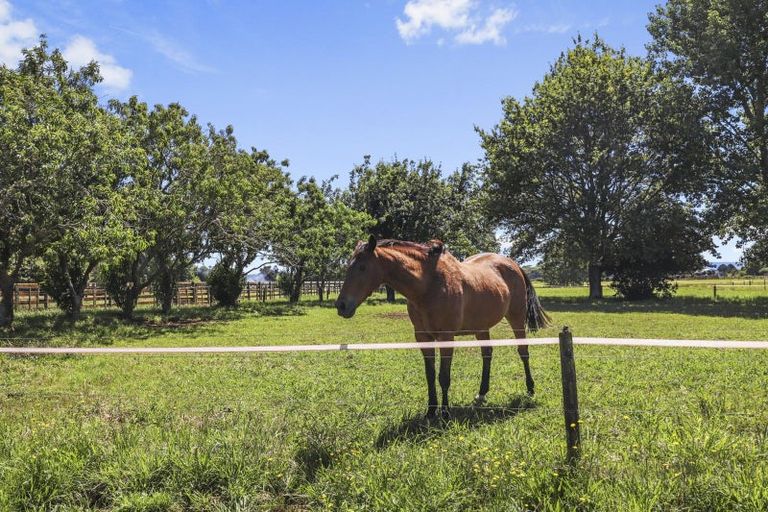 Photo of property in 121 Morrinsville-walton Road, Morrinsville, 3371