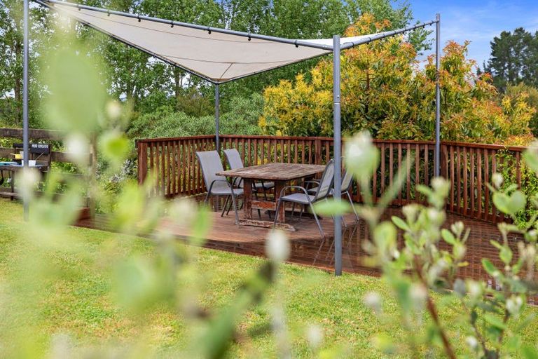 Photo of property in 10 Carex Close, Pyes Pa, Tauranga, 3112