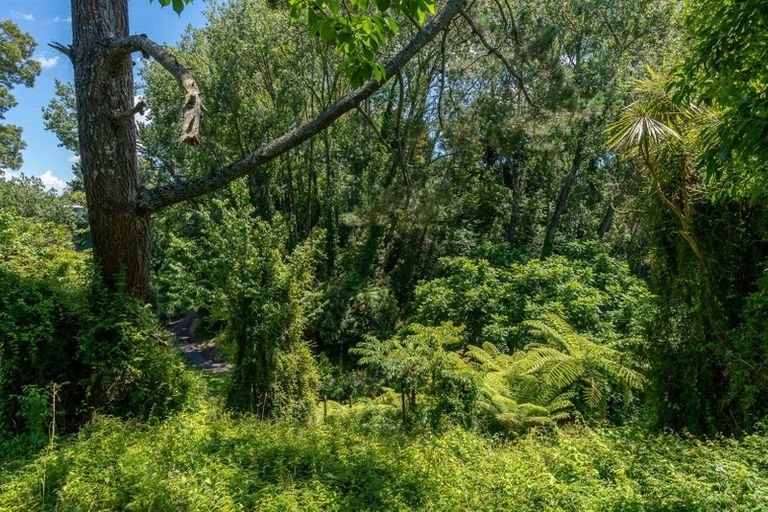 Photo of property in 93 Fitzroy Avenue, Fitzroy, Hamilton, 3206