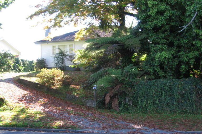 Photo of property in 15 Bent Street, Putaruru, 3411