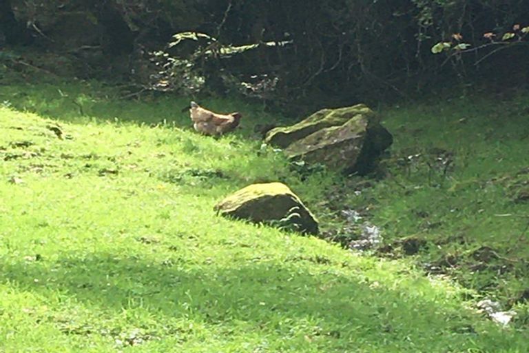 Photo of property in 61 Tawa Street, Te Kuiti, 3910