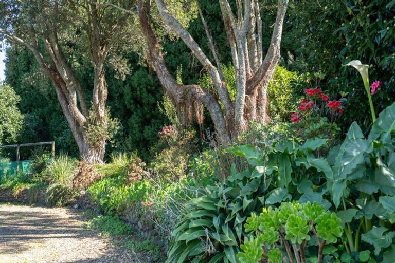 Photo of property in 287 Wharawhara Road, Tahawai, Katikati, 3178