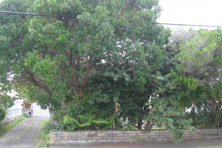 Photo of property in 19 Mccurdy Street, Elderslea, Upper Hutt, 5018