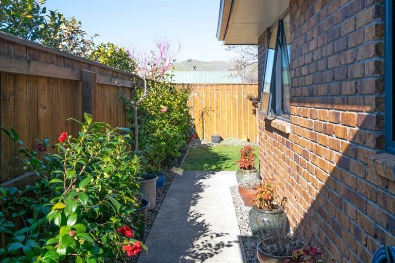 Photo of property in 257 Scott Street, Redwoodtown, Blenheim, 7201