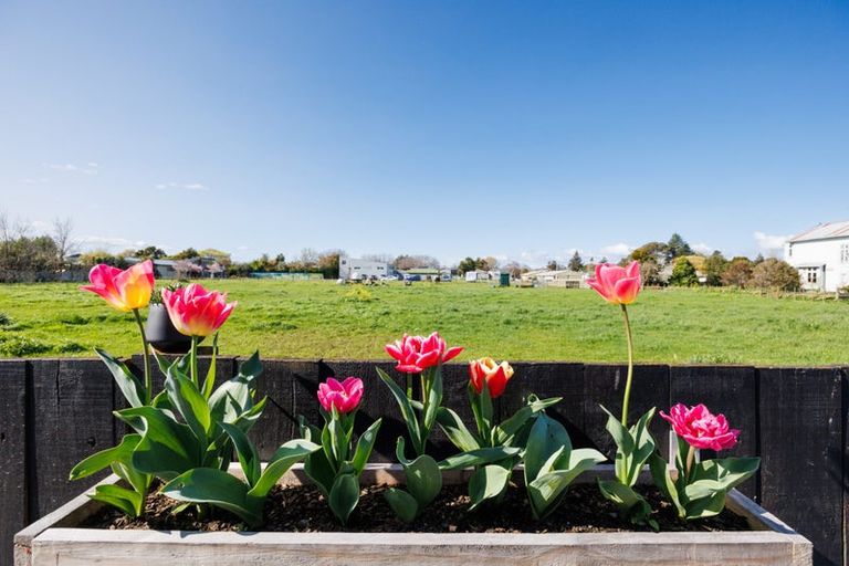 Photo of property in 143 Denbigh Street, Feilding, 4702