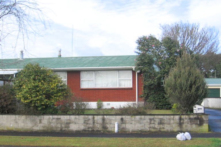 Photo of property in 15 Fitzroy Avenue, Fitzroy, Hamilton, 3206