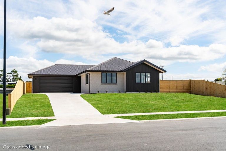 Photo of property in 59 Te Taniwha Road, One Tree Point, 0118