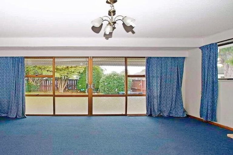 Photo of property in 132 Masters Avenue, Silverdale, Hamilton, 3216