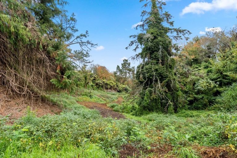 Photo of property in 264 Bellevue Road, Bellevue, Tauranga, 3110