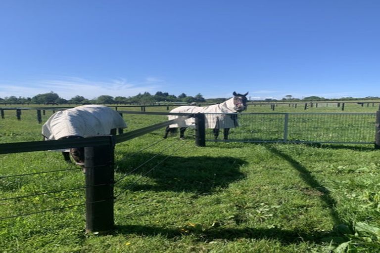 Photo of property in 157 Norfolk Road, Norfolk, Inglewood, 4388