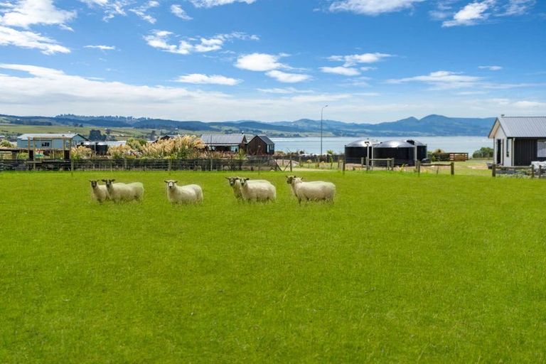 Photo of property in 223 Moturata Road, Taieri Beach, Taieri Mouth, 9091