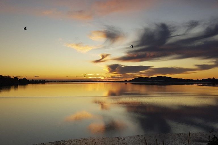 Photo of property in 13a Miriana Street, Maungatapu, Tauranga, 3112