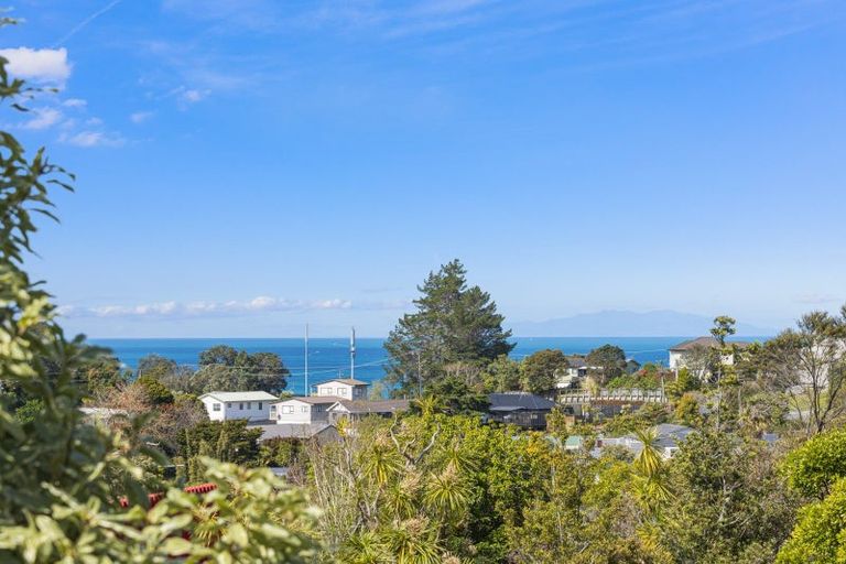 Photo of property in 45 Hillcrest Road, Hatfields Beach, Orewa, 0931