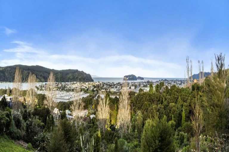 Photo of property in 113 Te Pamahue Drive, Whangamata, 3620