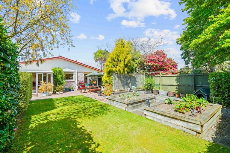 Photo of property in 21 Oakfield Street, Burnside, Christchurch, 8053