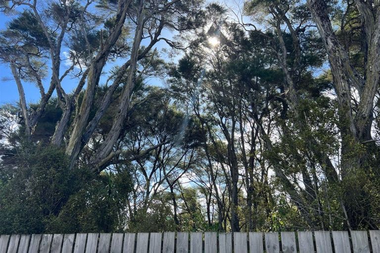 Photo of property in 11 Ti Tree Lane, Stanmore Bay, Whangaparaoa, 0932