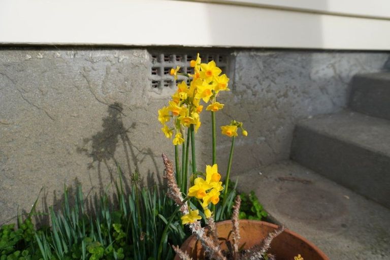 Photo of property in 4 Mclellan Street, Tawa, Wellington, 5028