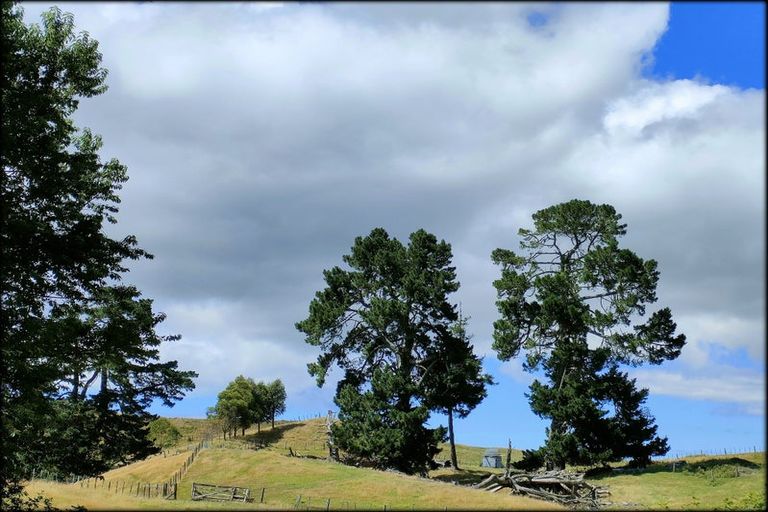 Photo of property in 333 Palmer Mill Road, Wairakei, Taupo, 3384