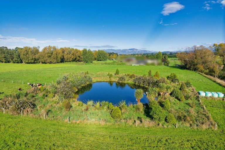 Photo of property in 386 Mount Fyffe Road, Kaikoura Flat, Kaikoura, 7371