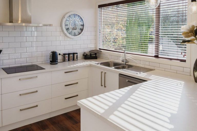 Photo of property in 36 Kilgour Street, Roslyn, Dunedin, 9010