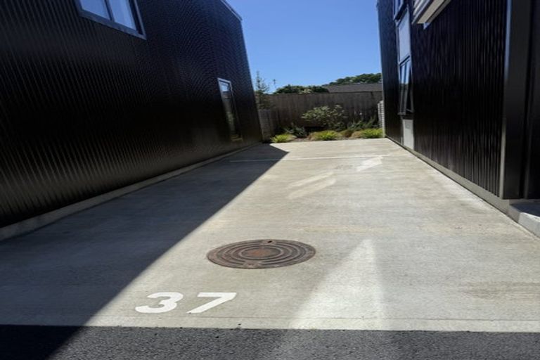 Photo of property in 37 Houhere Street, Paraparaumu, 5032