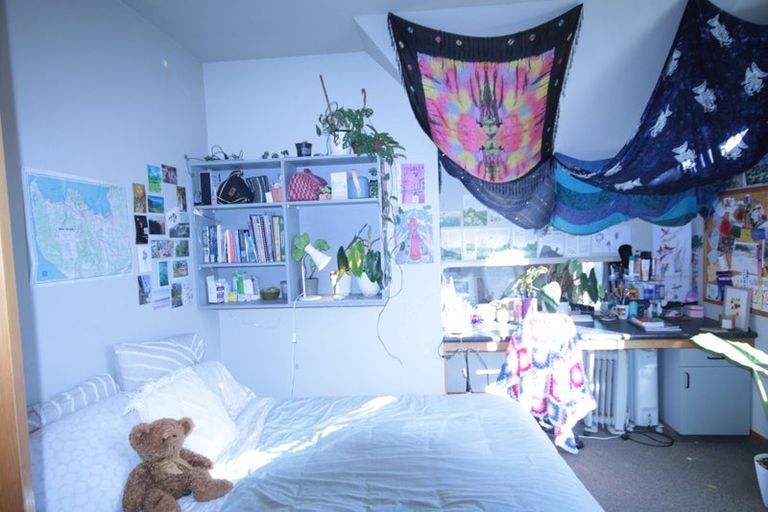 Photo of property in Includes 135, 137 Harbour Tce, 139 Harbour Terrace, North Dunedin, Dunedin, 9016