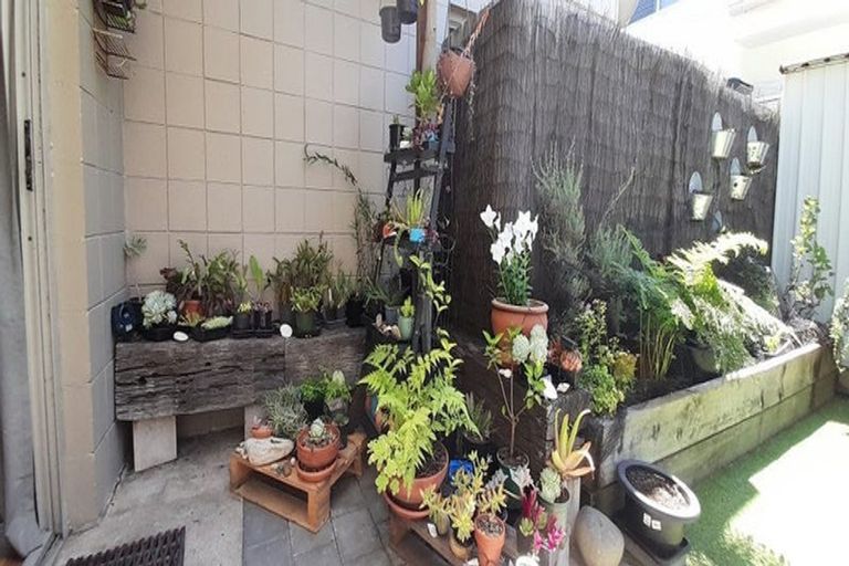 Photo of property in 6/44 Miro Street, Mount Maunganui, 3116